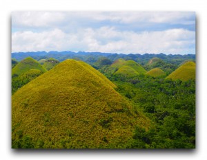 チョコレートヒルズと世界最小のサルに会いにボホール島へ行って来た。 Philippines / フィリピン