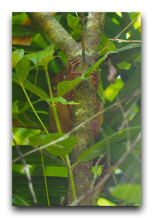 P5011105