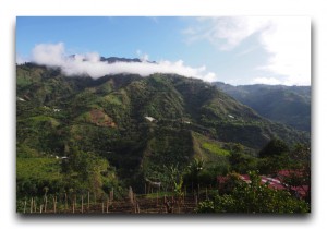 キトからボゴタへ。32時間の国際バス移動。 Ecuador/エクアドル