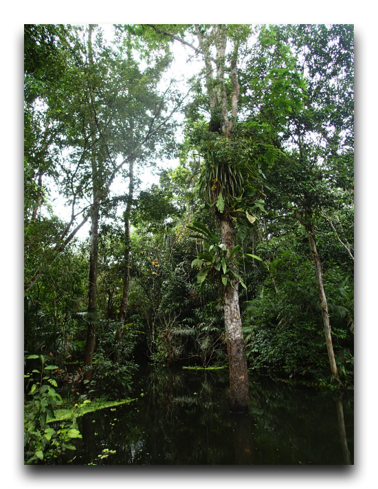 P6020318