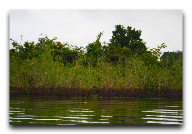 P6032634