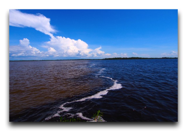P6100432