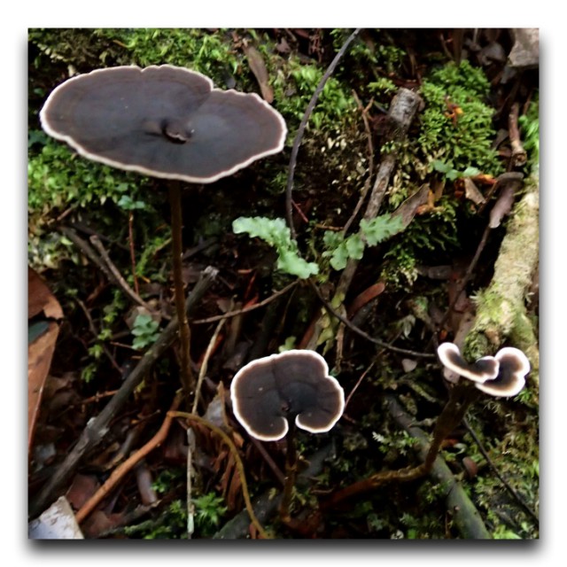 P7080141