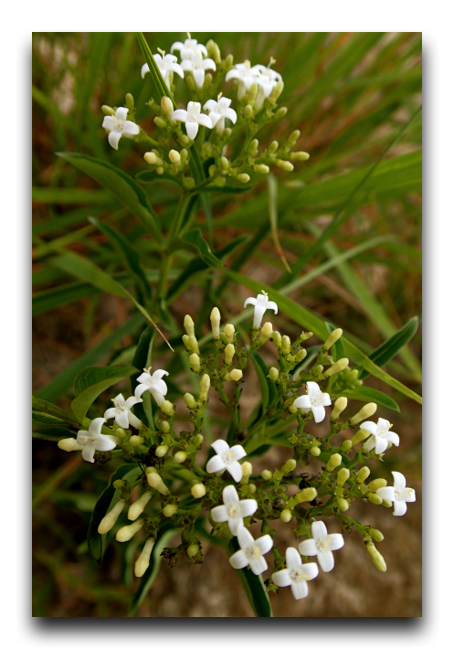 P7080231