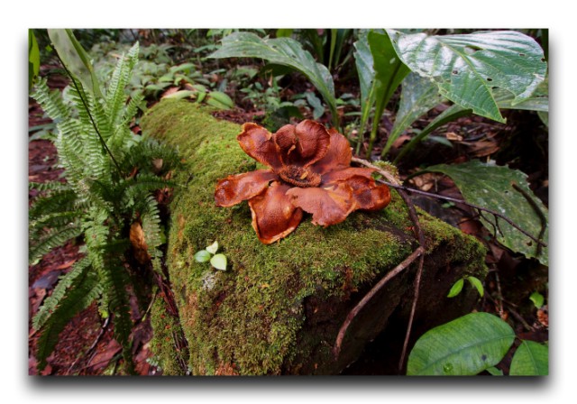 P7080637