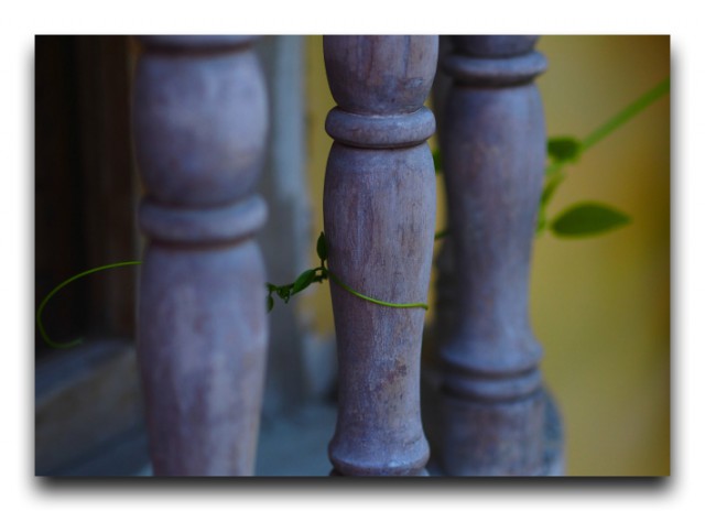 P7140961