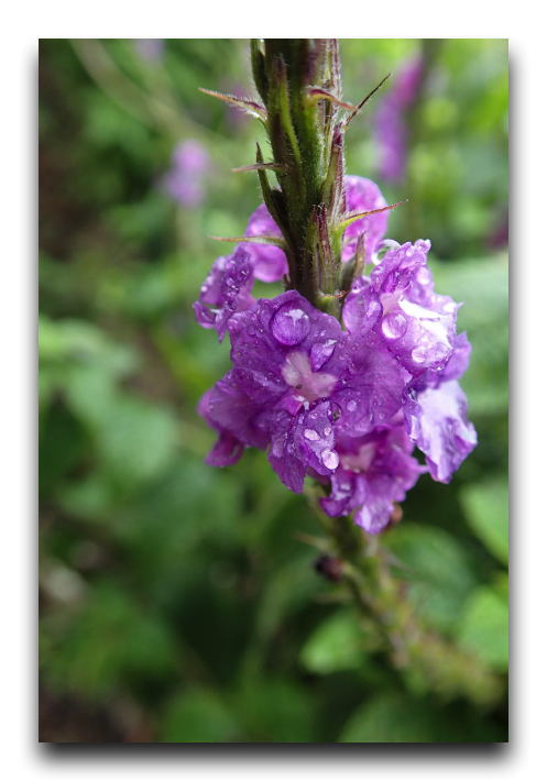 P7210018
