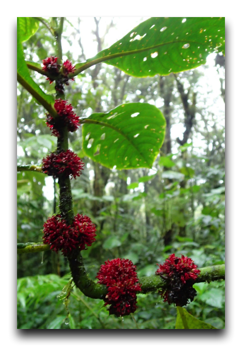 P7220020