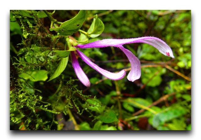 P7220075