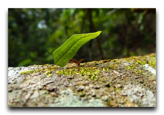 P7230111