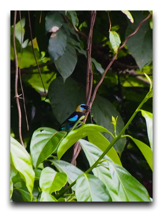 P7250560