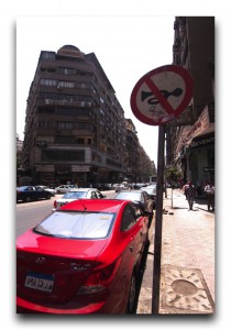 最近だいごろとよく喧嘩します。 Egypt / エジプト