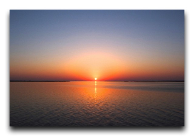 P8180341 copy