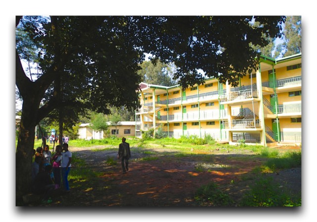 P9050352