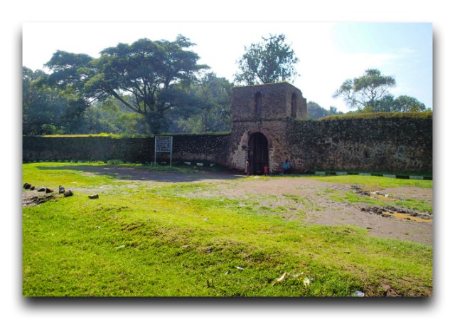 P9050355