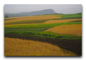 今日は13月1日??ゴンダールからの絶景バス移動。 Ethiopia / エチオピア