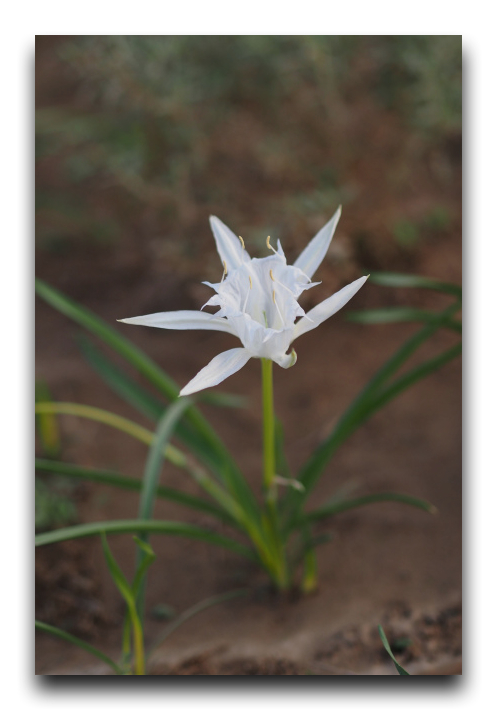 P9130258