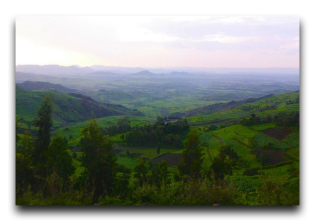 P1200119