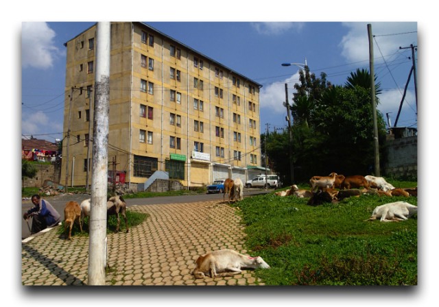 P9210158