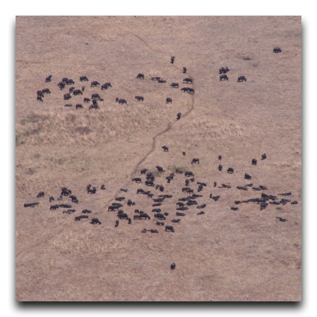 PA301885