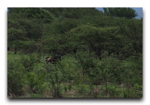 PB181047
