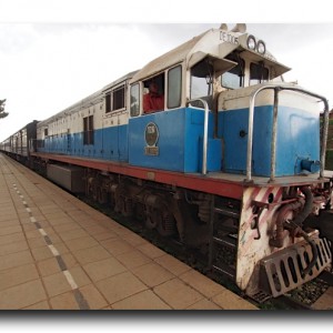 天国と地獄。サファリができる夢の列車の乗りこなし方。 天国と地獄。サファリができる夢の列車の乗りこなし方。