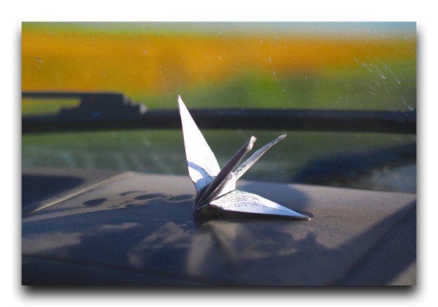 PC180750
