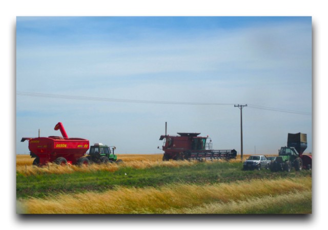 PC190842