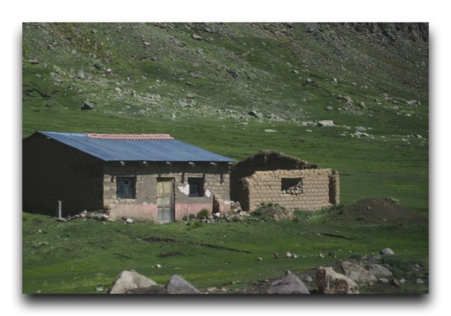 P2022509