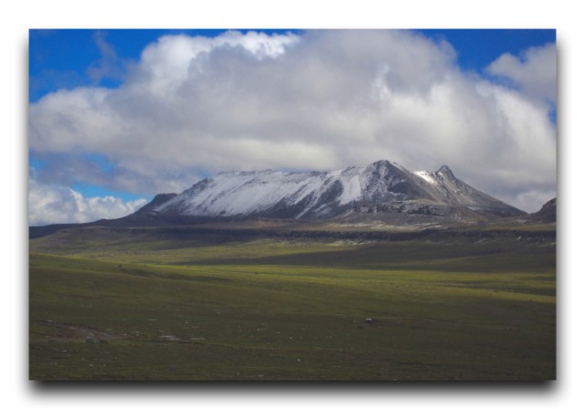 P2022518