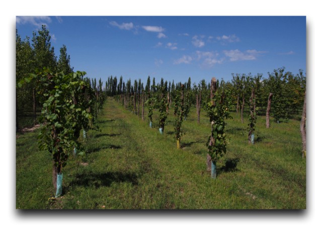 P3082021