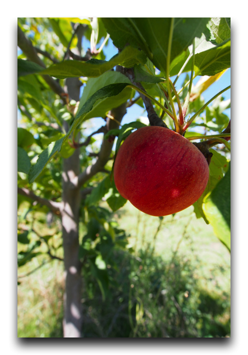 P3082058