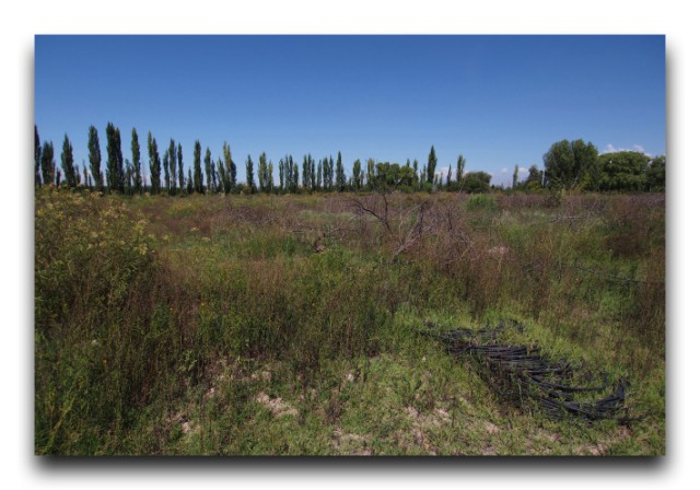 P3082061