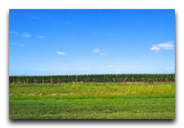 P3122321