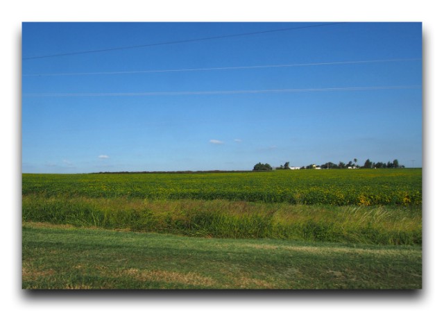 P3122329