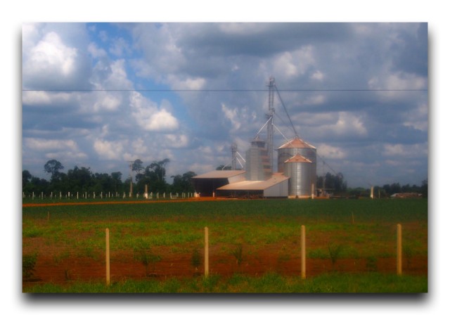 P3192935