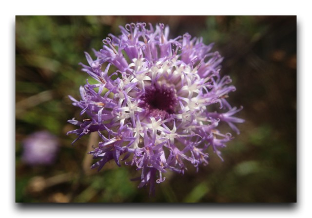 P3230217