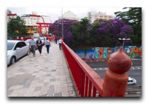 知ってるのと行くのとじゃ大違いだった!地球の裏側にある日本のこと。 Brazil/ブラジル