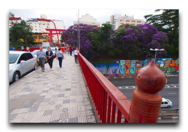 P3314462-640x448
