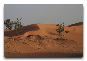 砂に呑み込まれつつある世界遺産。モーリタニアの象徴シンゲッティ。 Mauritania / モーリタニア