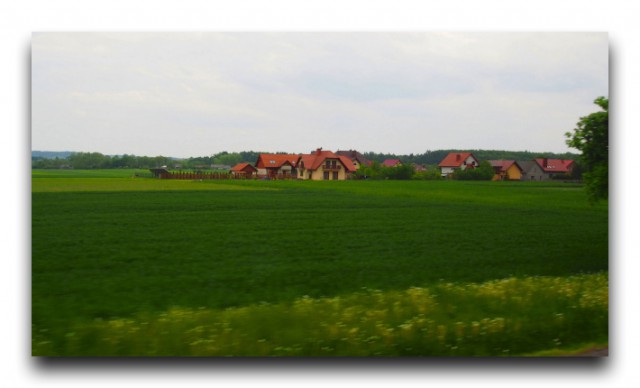 P5192423