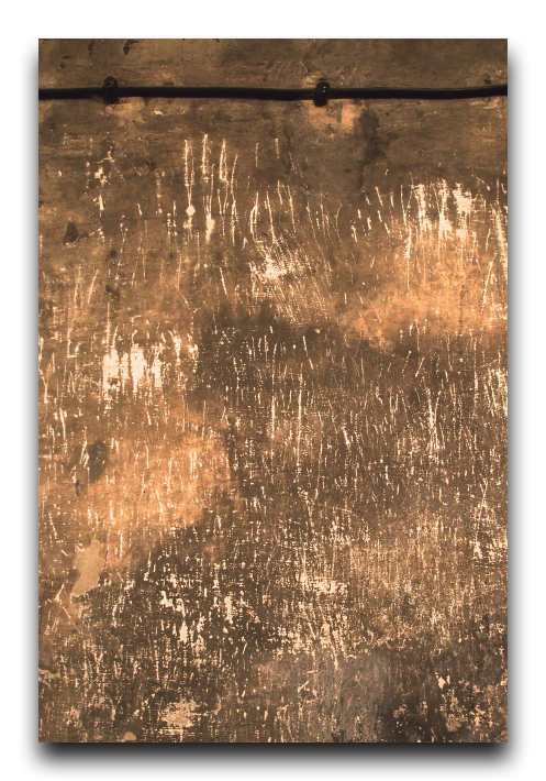 P5230134