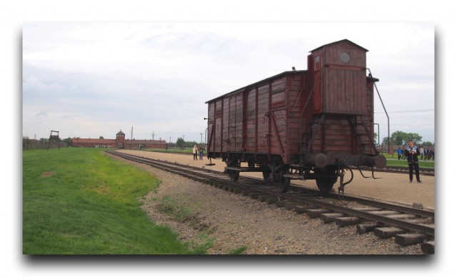 P5230196
