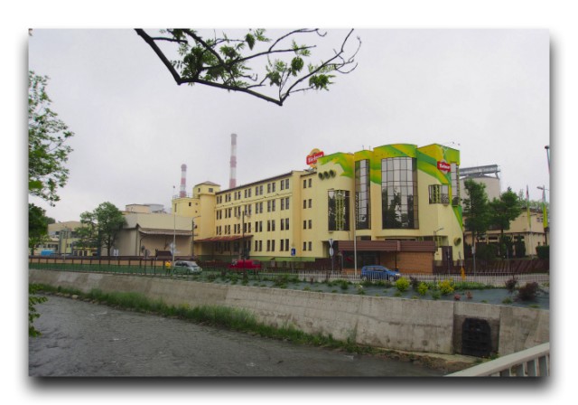 P5230334