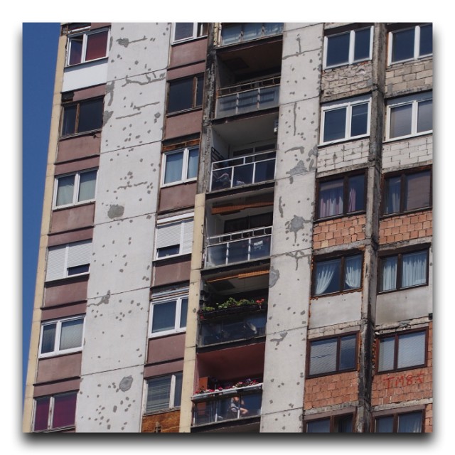 P6030252