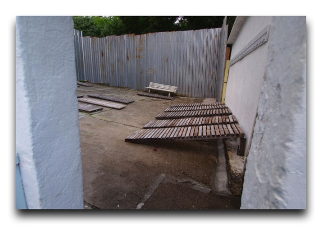 P6200020