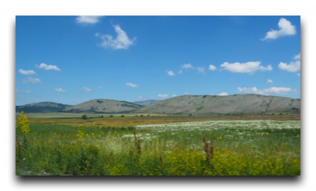 P6230026