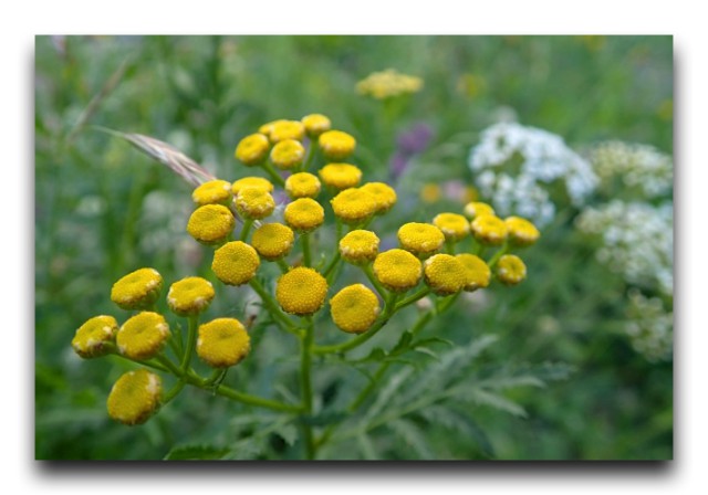 P7120080