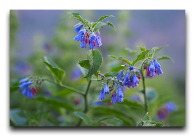 P7121036