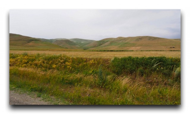 P7151408